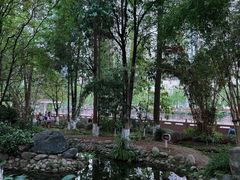 -成都市活水公园