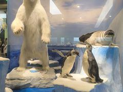 -国家自然博物馆