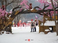 -参仙谷生态旅游度假区
