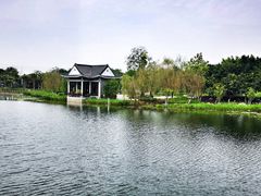 -映月湖公园