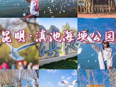 -滇池海埂公园