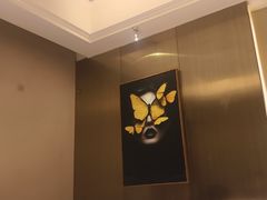 -三强鸽子(胜利路店)