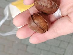 -金栗王(清扬路店)