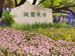-海淀公园