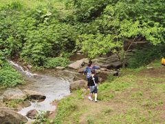 -重庆彩云湖湿地公园