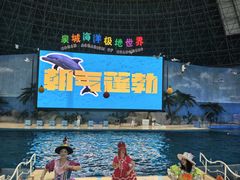 -泉城欧乐堡海洋极地世界