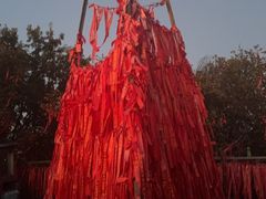 -帽儿山国家森林公园