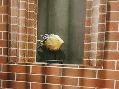 -永安鱼庄·镇江菜(东吴路店)