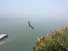 -海驴岛(荣成市)
