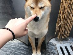 -About Bistro關於·泰式家庭料理