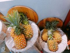 -食美汇美食广场(新奥店)