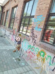 -小熊饼干专业儿童摄影