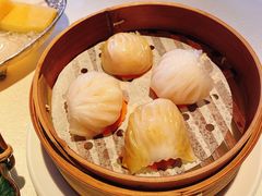 -三号黄浦会Canton Table