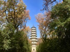 -灵谷景区