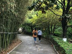 -石老人观光园