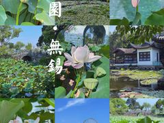 -无锡蠡湖国家湿地公园-蠡园