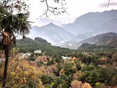 -窦圌山风景区