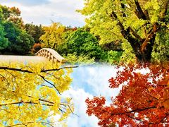 -南京银杏湖乐园