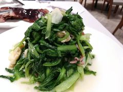 鸡毛菜火腿百叶丝-新吉士·上海菜(浦东LCM置汇旭辉店)