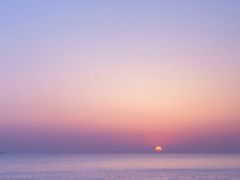 -柴务处·柴犬主题狗咖