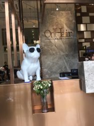 -OnHair Salon