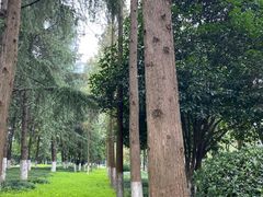 -后襄河公园