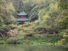 -茶颜悦色(岳麓山顶店)
