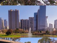 -香蜜公园