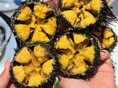 -大锅强·蒸海鲜青岛菜(金沙滩店)