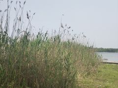 -美兰湖景区