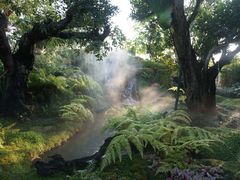 -Chom Cafe and Restaurant