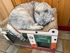 -隅cafe(傅厚岗店)