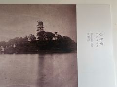 -江心屿景区