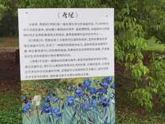 -共青国家森林公园-售票处