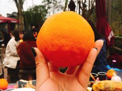 -楠柏弯休闲山庄(梨花溪店)