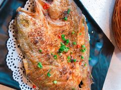 -九府羊·鲜羊火锅·烤串(新华路店)