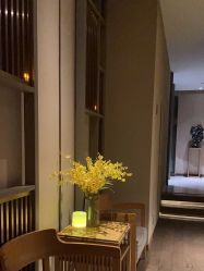 -8SPA养愈空间·新中式疗愈spa