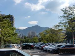 -深圳大学总医院