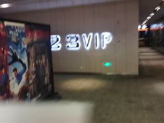 -汉阳天河电影城(王家湾店)