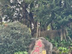 -乌山风景区