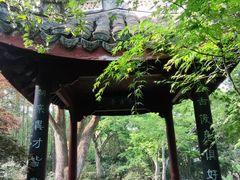 -上海醉白池公园