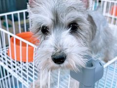 -济南高新万达广场