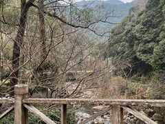 -宁海森林温泉