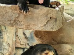 -北京野生动物园