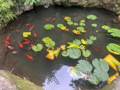 -定安游泳馆