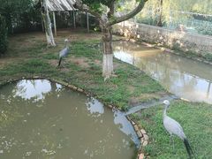 -西霞口神雕山野生动物世界