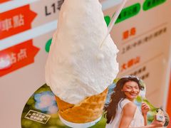 -野人先生现做冰淇淋(深圳壹方城店)