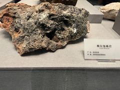 -湖南省地质博物馆