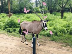 -大连森林动物园