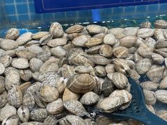 -焰江山海鲜牛排烤肉自助(锦华万达二星店)